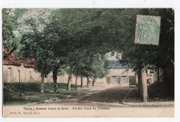 TOURY * EURE & LOIR * AVENUE LOUIS LE GROS * ANCIEN FOSSE DU CHATEAU * Lib. Billard *carte Colorisée - Other & Unclassified