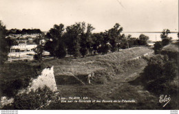 D33  BLAYE Vue Sur La Gironde Et Les Douves De La Citadelle - Blaye