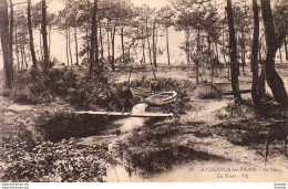 D33  ANDERNOS LES BAINS  Le Betey La Forêt - Andernos-les-Bains