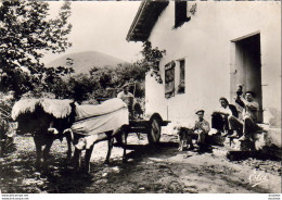 D64  Pays Basque  La Cour De La Ferme  ..... - Spannen