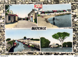 D33  AUDENGE  Carte Multivues - Gujan-Mestras