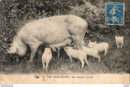 D65  NOS CAMPAGNES  Une Heureuse Famille  ..... - Cerdos