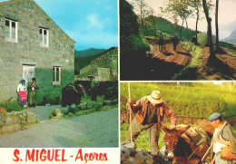 AÇORES, SÃO MIGUEL - Vários Aspetos De Vida Rural  (2 Scans) - Açores