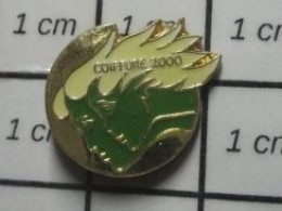 820 Pin's Pins / Beau Et Rare : MARQUES / FEMME VERTE A CHEVEUX BLANCS COIFFURE 2000 - Trademarks