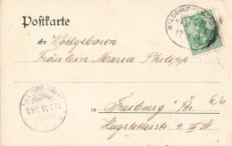Bahnpost (Ambulant; R.P.O./T.P.O.) Waldshut-Immendingen (ZA2513) - Lettres & Documents