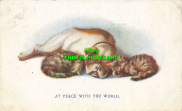 R596439 At Peace With World. Kittens And Dog. 1924 - Monde