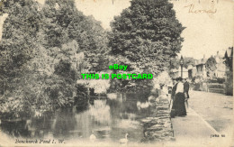 R595926 Bonchurch Pond I. W. J. W. And S. 66. 1904 - Welt
