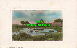 R596764 Landscape And Cattle. P. 559. B. Rotary Photographic Plate Sunk Gem Seri - Monde