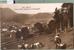 Ste-Croix (Vaud) - Vue Prise Depuis La Grangette - Vache, Bouc, Chèvres Et Jeunes Gardiens (16'811) - Yverdon-les-Bains 