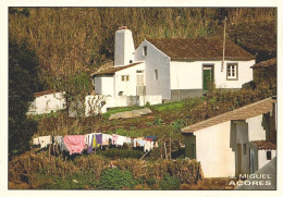 AÇORES, SÃO MIGUEL - Casa Rural  (2 Scans) - Açores