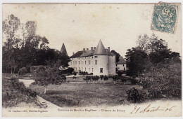 58 - B20972CPA - BRINAY - Chateau - Bon état - NIEVRE - Autres & Non Classés