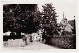 58 - B20959CPSM - CORBIGNY - Le Vieux Tilleul - Très Bon état - NIEVRE - Corbigny