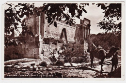 0 - B20554CPA - SYRIE - BAALBEK - Vue Du Temple De Bacchus - Assez Bon état - ASIE - Siria