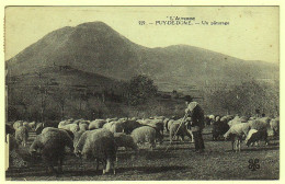 63 - B18964CPA - PUY DE DOME - Un Paturage - Très Bon état - PUY-DE-DOME - Autres & Non Classés