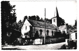 21 - B23736CPSM - MENETREUX LE PITOIS - L'Eglise - Bon état - COTE-D'OR - Altri & Non Classificati