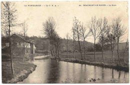 27 - B23359CPA - BEAUMONT LE ROGER - La Risle - Très Bon état - EURE - Beaumont-le-Roger