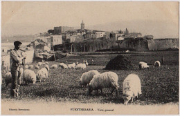 0 - B21616CPA - FUENTERRABIA - ESPAGNE - Vista General - Berger Et Moutons - Parfait état - EUROPE - Guipúzcoa (San Sebastián)