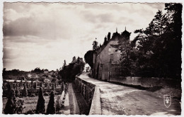 58 - B20964CPSM - CHATILLON EN BAZOIS - Le Chateau Et Ses Jardins - Très Bon état - NIEVRE - Chatillon En Bazois