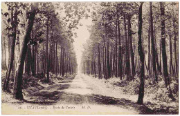 40 - B23064CPA - UZA - Route De Castets - Très Bon état - LANDES - Autres & Non Classés