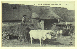 63 - T18973CPA - NOTRE AUVERGNE - Battage Du Ble - Parfait état - PUY-DE-DOME - Autres & Non Classés