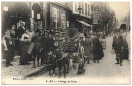 59 - T23422CPA - LILLE - Attelage De Chiens - Parfait état - NORD - Lille