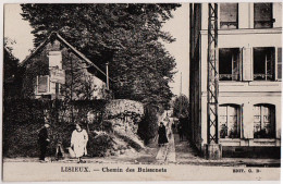 14 - B21400CPA - LISIEUX - Chemin Des Buissonets - Fontaine - Très Bon état - CALVADOS - Lisieux