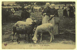 63 - T18989CPA - AUVERGNE PITTORESQUE - Marche De Moutons - Bon état - PUY-DE-DOME - Autres & Non Classés