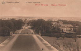 BELGIEN BRÜSSEL Postkarte CPA #PAD937.DE - Brüssel (Stadt)