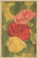 FLOWERS Vintage Ansichtskarte Postkarte CPA #PKE632.DE - Flowers