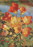 FLOWERS Vintage Ansichtskarte Postkarte CPSM #PBZ881.DE - Bloemen