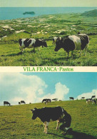 AÇORES, SÃO MIGUEL - Pastos De Vila Franca Do Campo  (2 Scans) - Açores