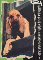 HUND Tier Vintage Ansichtskarte Postkarte CPSM #PBQ393.DE - Perros