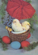 OSTERN HUHN EI Vintage Ansichtskarte Postkarte CPSM #PBP246.DE - Pasen