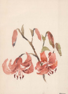 FLOWERS Vintage Ansichtskarte Postkarte CPSM #PAR629.DE - Blumen