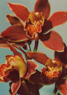 FLOWERS Vintage Ansichtskarte Postkarte CPSM #PAR148.DE - Fiori