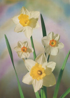 FLOWERS Vintage Ansichtskarte Postkarte CPSM #PAR027.DE - Blumen