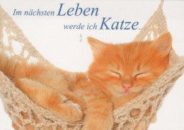 KATZE MIEZEKATZE Tier Vintage Ansichtskarte Postkarte CPSM #PAM503.DE - Cats