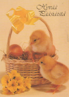 PÂQUES POULET ŒUF Vintage Carte Postale CPSM #PBO683.FR - Pâques