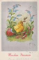 EASTER CHICKEN EGG Vintage Postcard CPA #PKE440.GB - Pascua