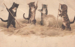 CAT KITTY Animals Vintage Postcard CPA #PKE751.GB - Gatos