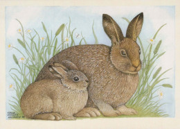 RABBIT Animals Vintage Postcard CPSM #PBR168.GB - Sonstige & Ohne Zuordnung