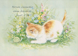 CAT KITTY Animals Vintage Postcard CPSM #PBQ975.GB - Gatos