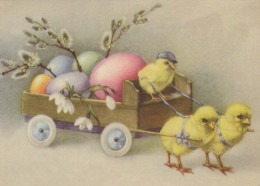 EASTER CHICKEN EGG Vintage Postcard CPSM #PBO932.GB - Pâques