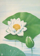 FLOWERS Vintage Postcard CPSM #PAR265.GB - Blumen