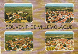 **** 66  ***   Souvenir De Villemolaque -- Timbrée TTB   - Autres & Non Classés