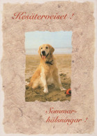 CANE Animale Vintage Cartolina CPSM #PBQ527.IT - Chiens