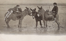 DONKEY Animals Vintage Antique Old CPA Postcard #PAA071.GB - Donkeys