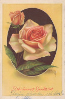 FLORES Vintage Tarjeta Postal CPSMPF #PKG113.ES - Blumen