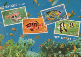 PESCADO Animales Vintage Tarjeta Postal CPSM #PBS881.ES - Pesci E Crostacei