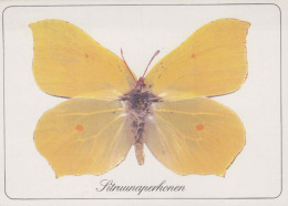 MARIPOSAS Animales Vintage Tarjeta Postal CPSM #PBS423.ES - Farfalle